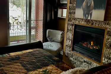 Bedroom with Fireplace