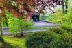 Covered Bridge with horse and buggy