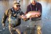 Anglers catch brown trout